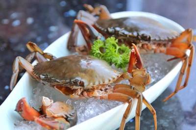 198元龍蝦海鮮拼盤免費送！品味鮮香，暢享海鮮火鍋盛宴